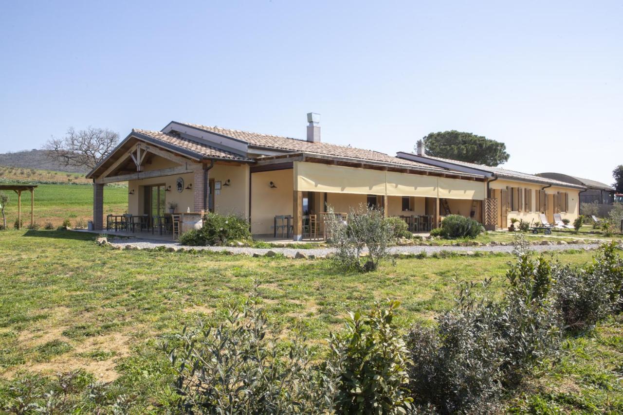 Agriturismo Casa Ricci マリアーノ・イン・トスカーナ エクステリア 写真