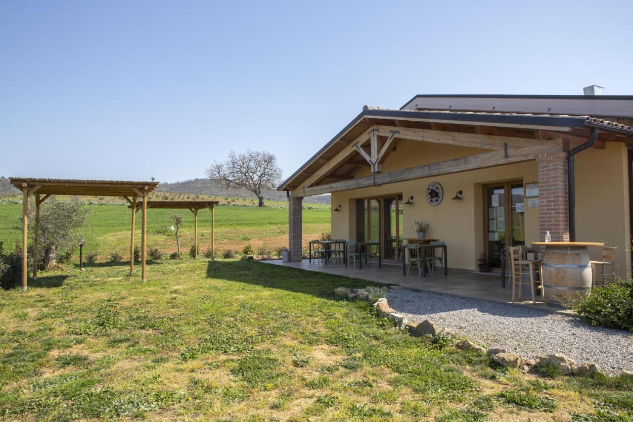 マリアーノ・イン・トスカーナ Agriturismo Casa Ricciヴィラ エクステリア 写真